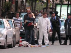 Masakra te “Zogu I”, nëna e dy vëllezërve: Autorët të dënohen maksimalisht