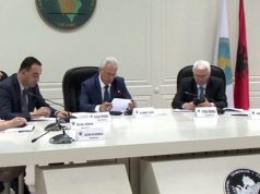 ARSYEJA/ KQZ gjobit PD, 5 milionë lekë