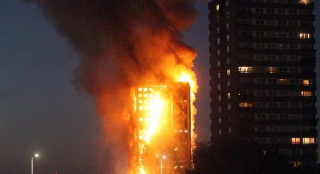 pallati flake londer