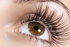 Ja disa mënyra natyrale për të rritur qerpikët