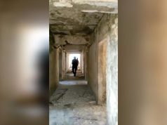 Vlorë, operacion antidrogë, sekuestrohen drogë dhe mjetet e transportit, 4 të arrestuar