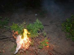 TË HARRUARIT/ Finalizohet operacioni disavjeçar antidrogë, 2 narkotrafikantë në pranga, 2 në kërkim