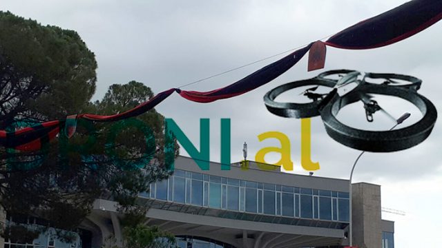 Stema me koke poshte1