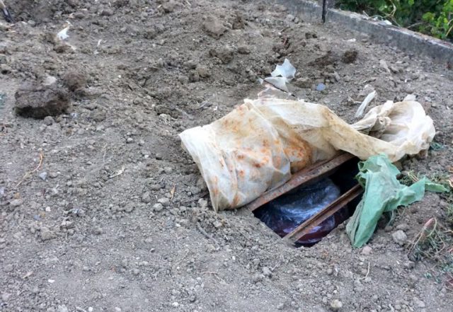 Vlore, droge e groposur