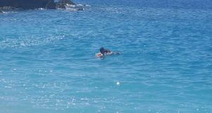 FOTO/ Jalë, qeni bën mrekulli – shpëton të zotin nga mbytja dhe qan nga gëzimi