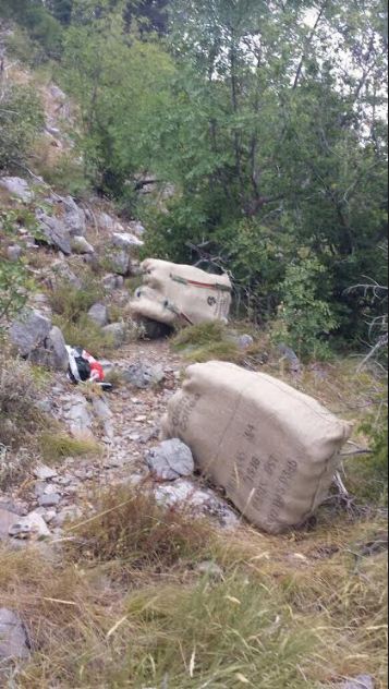 thase ne mal kanabis