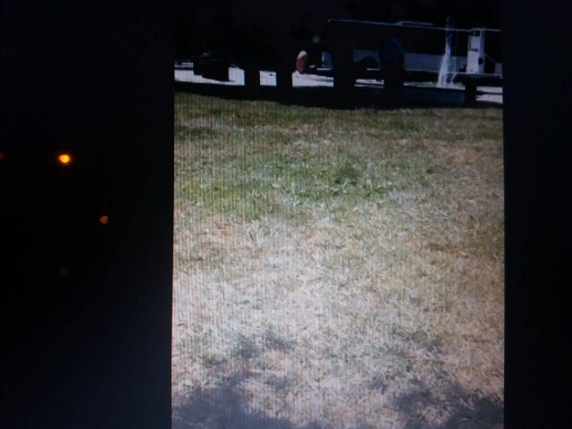 20623664_1055515131251777_1367866186_o