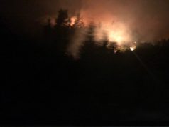 Zjarri përshin zonat e mbrojtura në Tale