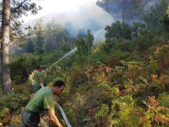 FOTO/ Lufta për shuarjen e zjarreve, mbi 300 efektivë të Forcave të Armatosura të angazhuar