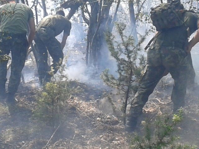 Zjarrëvënia e qëllimshme, prokuroria hetim edhe ndaj bashkive për shpërdorim fondesh