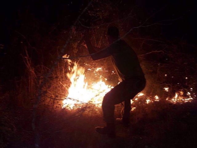 Operacionet për shuarjen e zjarreve, ja sa forca janë angazhuar nga FA