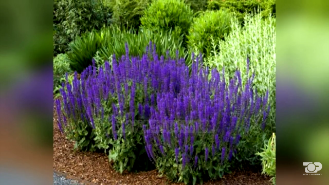 Screenshot_20170823-130737