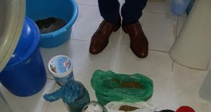 FOTO/ Komposto dhe reçel me kanabis, arrestohet shkodrani