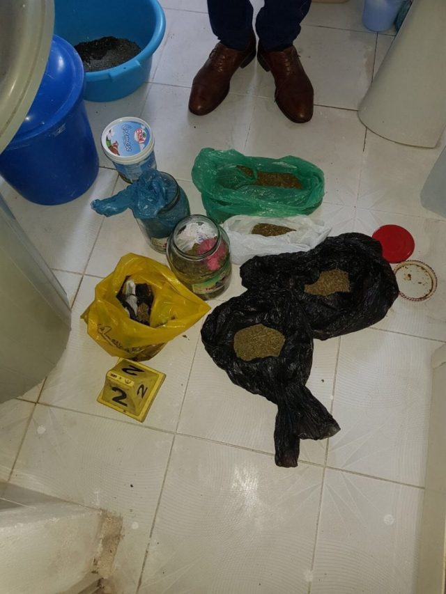 auto_WhatsApp_Image_2017-08-23_at_08.43.381503473834