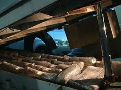 FOTO/ Itali, transportonin 2 milionë drogë, arrestohet shqiptari dhe miku i tij rumun