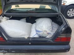 VIDEO/ Furnizonin Tiranën me kanabis, kapen 2 trafikantët nga Kruja