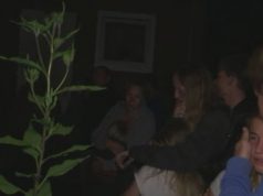 VIDEO/ Deportohet familja shqiptare azilkërkuese, reagimet e fqinjëve gjermanë jan prekëse