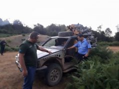 FOTO/ Elbasan, prisnin pemë dhe i shisnin, ndalohen kontrabandistët