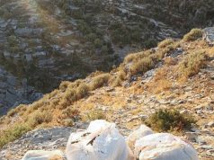 EMRI/ Gjirokastër, sekuestrohen 107 kg hashash, nën hetim kryeplaku i fshatit