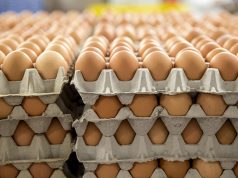 Alarm për vezë toksike në Europë