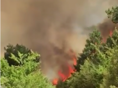 VIDEO/ Aksi Levan-Fier pushtohet nga flakët, bllokohet qarkullimi i makinave