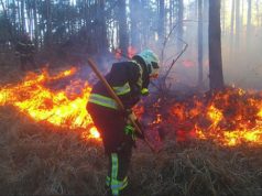 Riaktivizohen zjarret, rrezikohet karburanti në Patos, digjen pishat në Theth