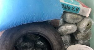 VIDEO & FOTO GALERI/ Durrës, gjendet kanabis në një dyqan, shpallet në kërkim një person