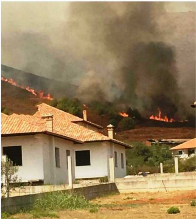 auto_Screenshot_21504264419