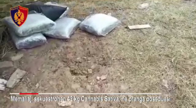 auto_kaabis1505890469