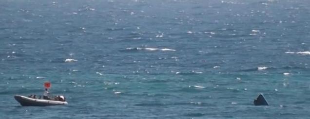 cache-636-245-strict-301543