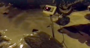 VIDEO/ Vlorë, një i afërt i qeverisë fshehu drogën në vilën qeveritare