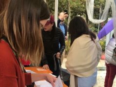 Tmerri në Kuçovë, nis mbledhja e 20 mijë firmave për mbrojtjen e kafshëve