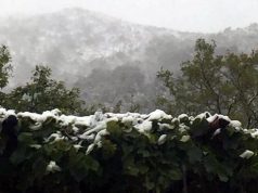 MOTI/ Ja kur pritet të hapet koha, por temperaturat mbeten të ulëta