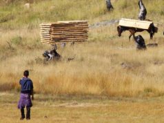 FOTO LAJM/ Foto “të freskëta”, vazhdon masakra e pyjeve në Lurë