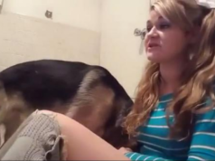 Si e pësoi 28 vjeçarja që bëri seks me qenin