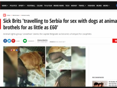 SKANDAL/ Beogradi, vatra ku turistët bëjnë seks me kafshët