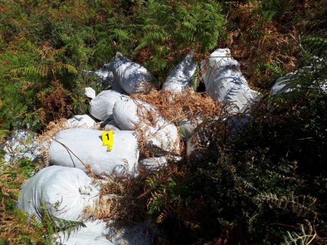 auto_kanabiss_31503732175