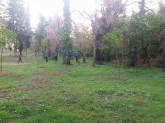 DETAJE/ Trupi i varur te liqeni, policia jep të dhëna