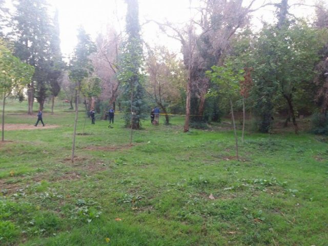 auto_vetevaraja_21506923013