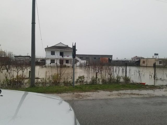 24232866_10214935971342242_6530426415836652823_n