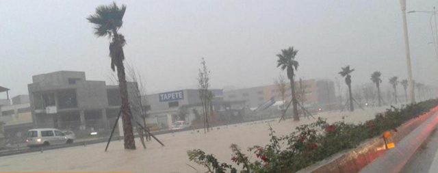 24294258_912303565597218_6968666579188339665_n