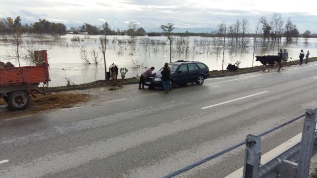 WhatsApp-Image-2017-12-02-at-11.33.09