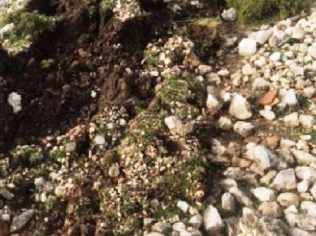 auto_314660_m1512220668