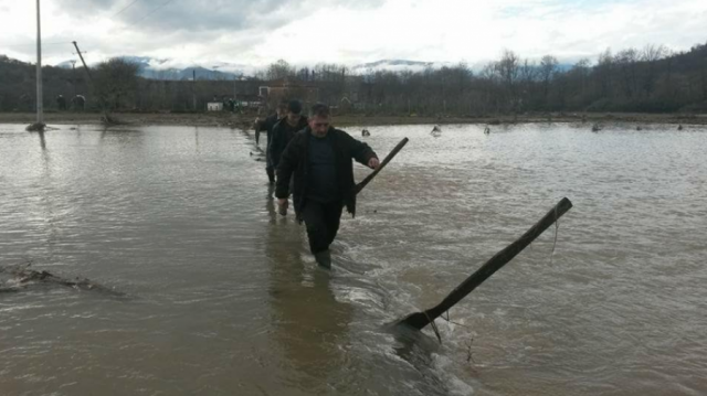 auto_Screenshot_11512229223