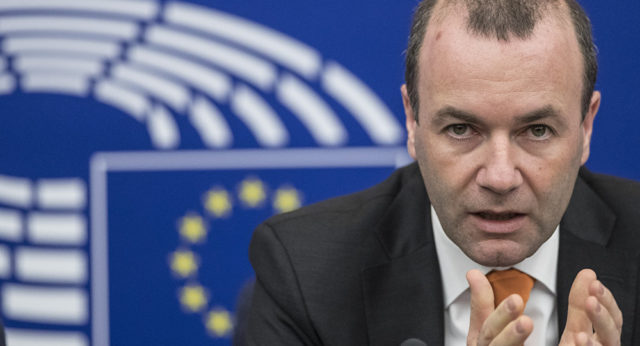 manfred weber