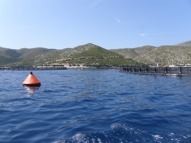 Karaburun, vaskat e peshkut