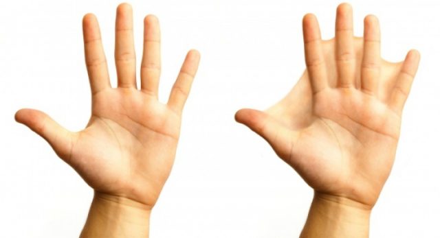 403aebf86adcbc50e869800333ee542b_L