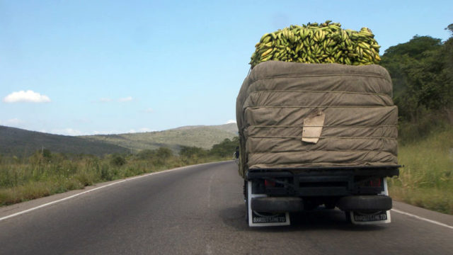 Banane-kamion-sa-bananama-2
