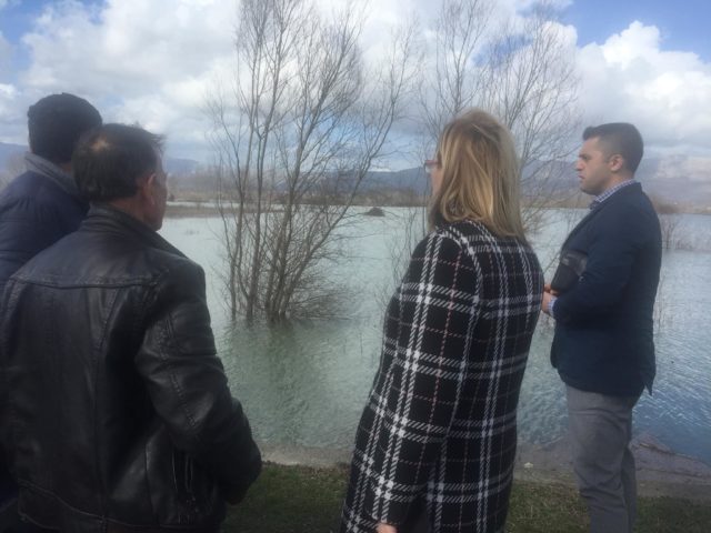 VOLTANA ADEMI TEK PERMBYTJA