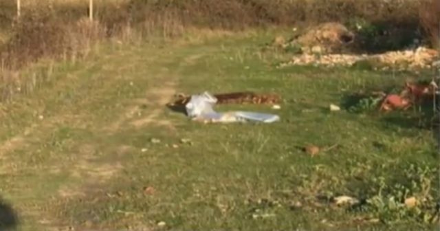 fier vendi i kufomes